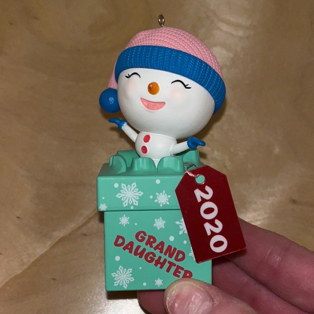2020 Hallmark The Gift of Grandaughters, NIB